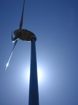 Maui Wind Turbines